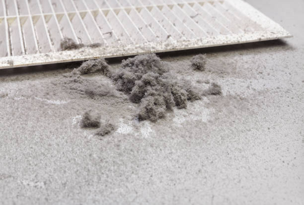 Best HVAC Duct Inspection Services  in Panama City, FL